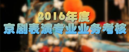 www大骚逼com国家京剧院2016年度京剧表演专业业务考...